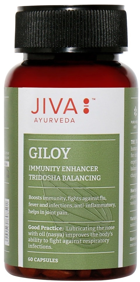 Гилой (Giloy), JIVA, 60 капс. Гилой (Giloy), JIVA, 60 капс.