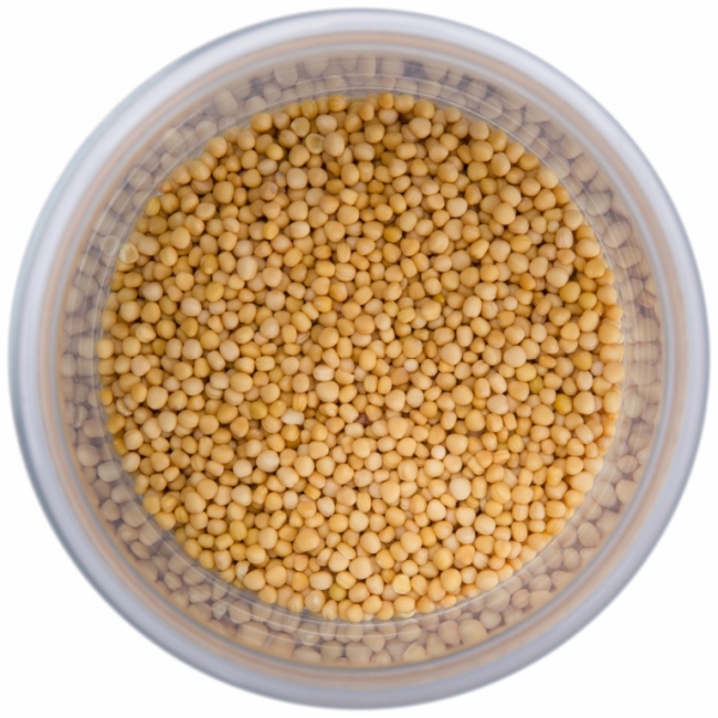 Горчица желтая семена (Mustard Yellow), Золото Индии, 10г/30г/100г/1 кг Горчица желтая семена (Mustard Yellow), Золото Индии, 10г/30г/100г/1 кг