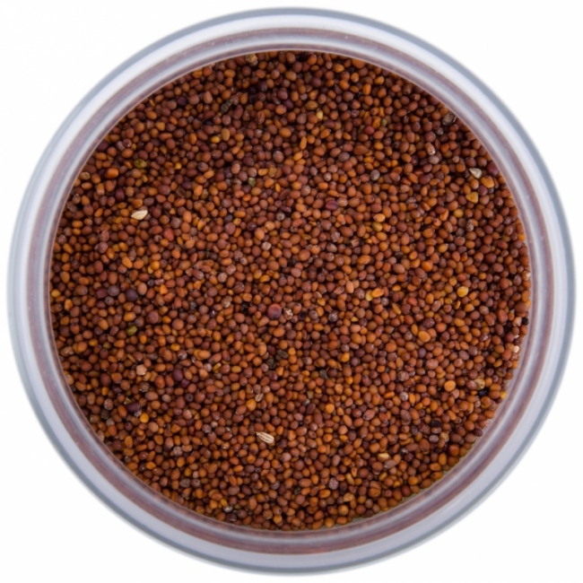 Горчица Раджика Рай целая (Mustard Rajica Indicum / Rai) Золото Индии, 30г...1 кг Горчица Раджика Рай целая (Mustard Rajica Indicum / Rai) Золото Индии, 30г...1 кг
