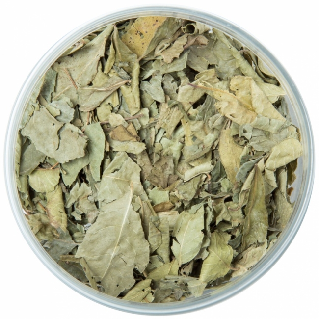 Карри листья (Curry Leaves), Золото Индии, 5 г/25г/1 кг Карри листья (Curry Leaves), Золото Индии, 5 г/25г/1 кг