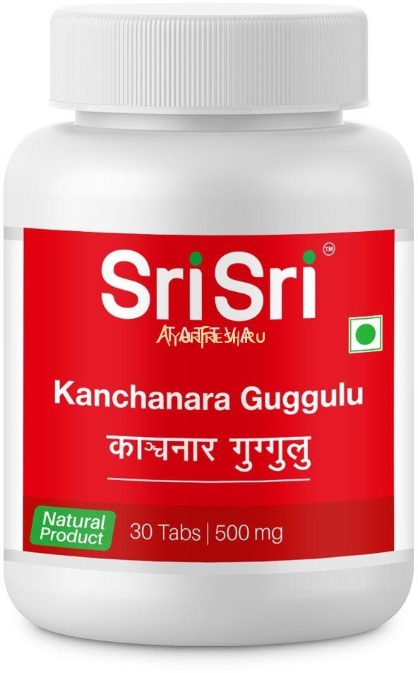 Канчнар гуггул (Kanchanara Guggulu) Sri Sri Tattva, 30/60 таб. Канчнар гуггул (Kanchanara Guggulu) Sri Sri Tattva, 30/60 таб.