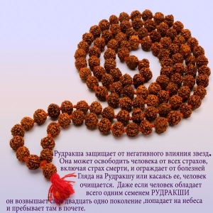 Четки Рудракша - Слеза Сострадания Бога Шивы, защита от смерти , Индия, 6-8мм, 108 бусин Четки Рудракша - Слеза Сострадания Бога Шивы, защита от смерти , Индия, 6-8мм, 108 бусин