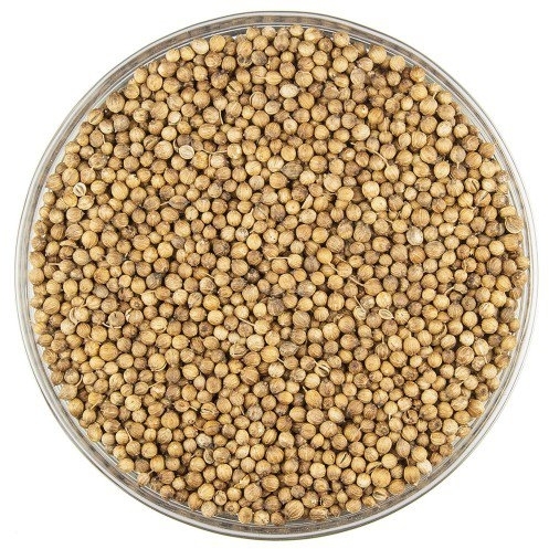 Кориандр целый (Coriander) Золото Индии 30г/90г/1кг Кориандр целый (Coriander) Золото Индии 30г/90г/1кг