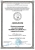 Напиток натуральный Комбуча Immuno+ "Мёд, Имбирь и Лимон", Absolute Nature, 350 мл